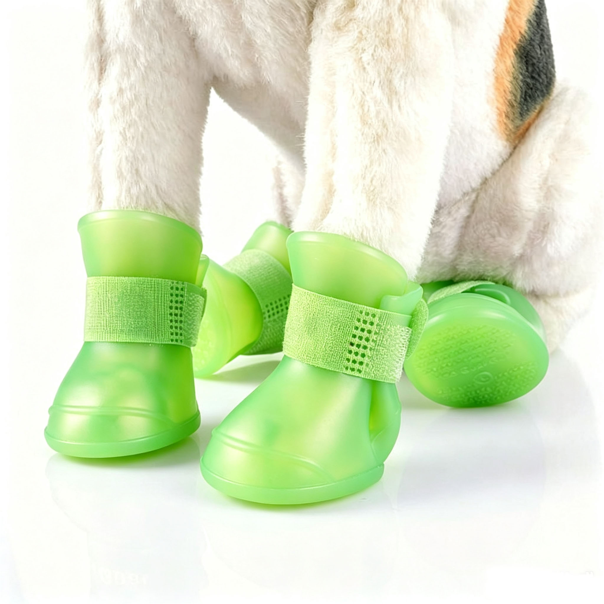 4pc Waterproof Silicone Dog Ra - đánh giá và giá Outdoor Adventure Gear