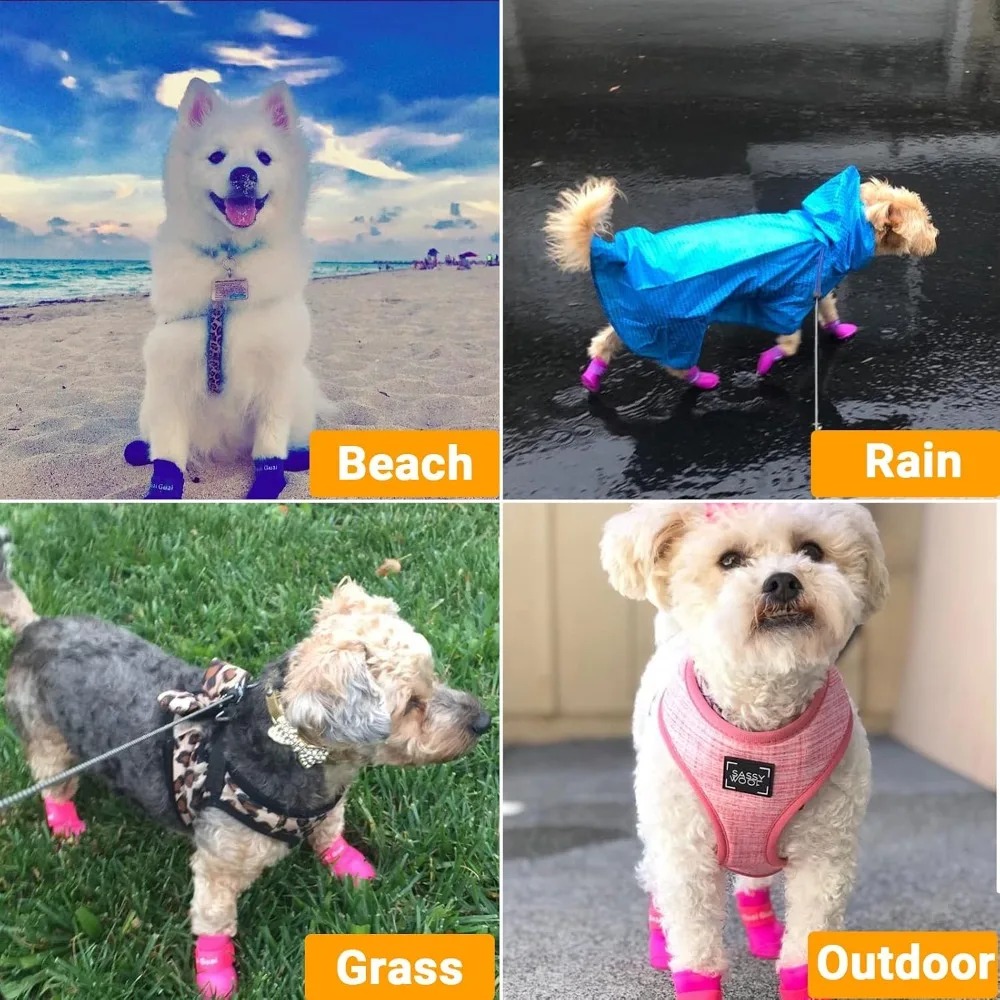 4pc Waterproof Silicone Dog Ra - đánh giá và giá Outdoor Adventure Gear